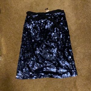 J Crew Collection Sequined Skirt
